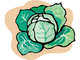 Cabbage Gif