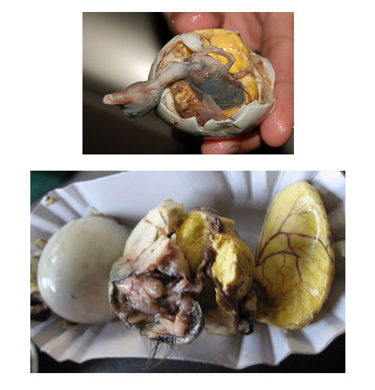 http://www.culinaryschools.org/cuisine/10-disgusting-delicacies/balut.jpg