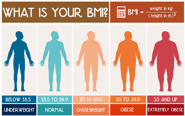 Body Fat Calculator for Women and | The Foodie Blog