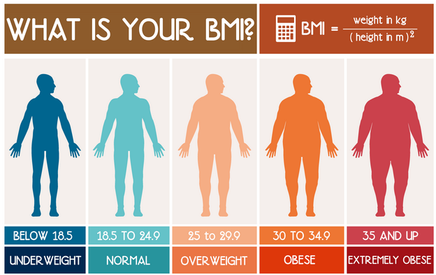 8 Popular Way to Measure Your Body Weight, Fat Percentage and BMI