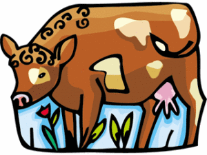 Brown Cow.