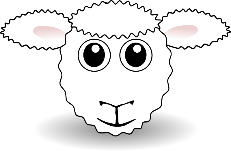 Sheep Head Drawing.