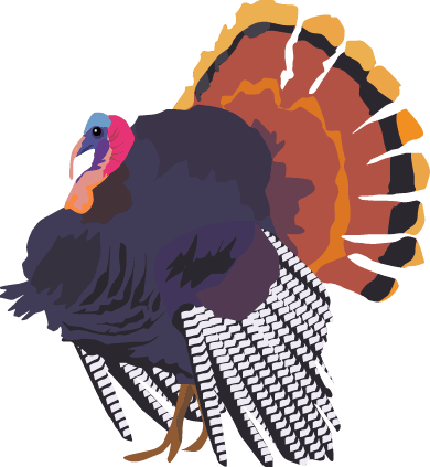 Download Turkey Clip Art ~ Free Clipart of Turkeys & More!