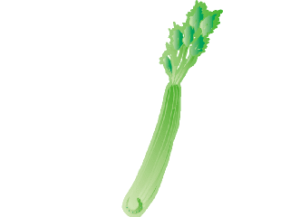 Celery.