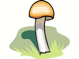 Mushroom Clipart.