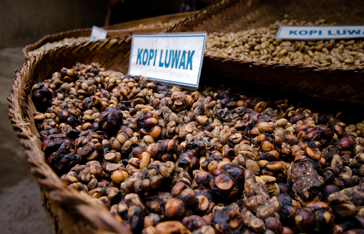 Bali Kopi Luwak Coffee Indonesian Civet Poop Coffee The