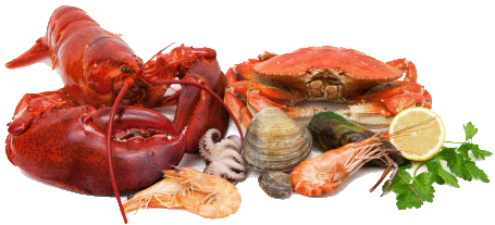 seafood in boston
